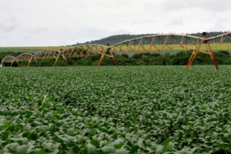 Superávit do agronegócio brasileiro aumenta para US$ 101 bi, impulsionado por São Paulo