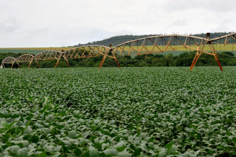 Superávit do agronegócio brasileiro aumenta para US$ 101 bi, impulsionado por São Paulo