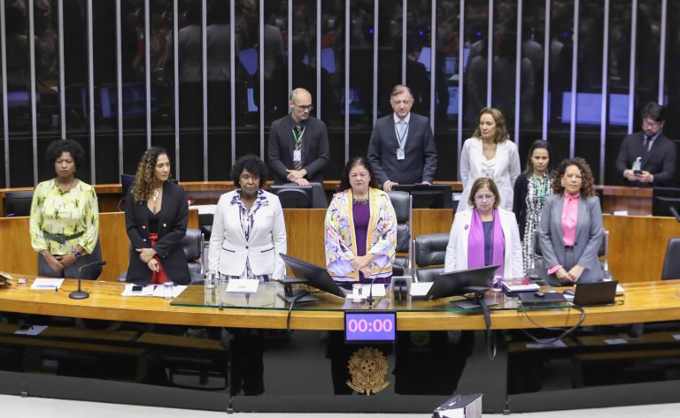 Deputadas federais defendem cotas para mulheres no Legislativo