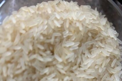 Representante do agro no RS critica importação de arroz do Governo Lula