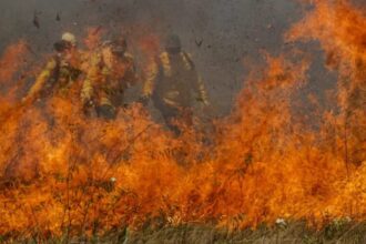 Com incêndios, Mato Grosso do Sul decreta situação de emergência