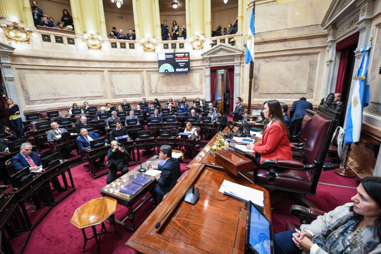 Senado da Argentina aprova megapacote de reformas de Milei, mesmo sob protestos