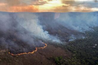 Sem Bolsonaro para culpar, Brasil registra pior cenário de queimadas em 14 anos