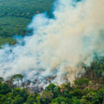 Incêndios florestais devastam o país, enquanto governo mobiliza apenas 150 bombeiros