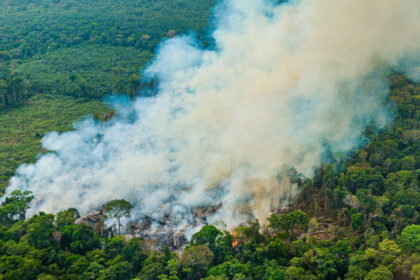 Incêndios florestais devastam o país, enquanto governo mobiliza apenas 150 bombeiros