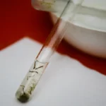 São Paulo lança primeira vacina de dose única contra dengue no mundo