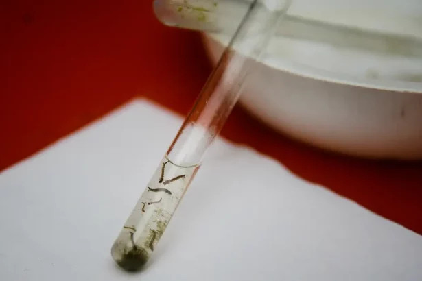 São Paulo lança primeira vacina de dose única contra dengue no mundo