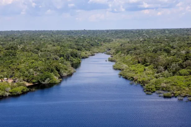 Presença de facções criminosas na Amazônia cresce 32% em 1 ano