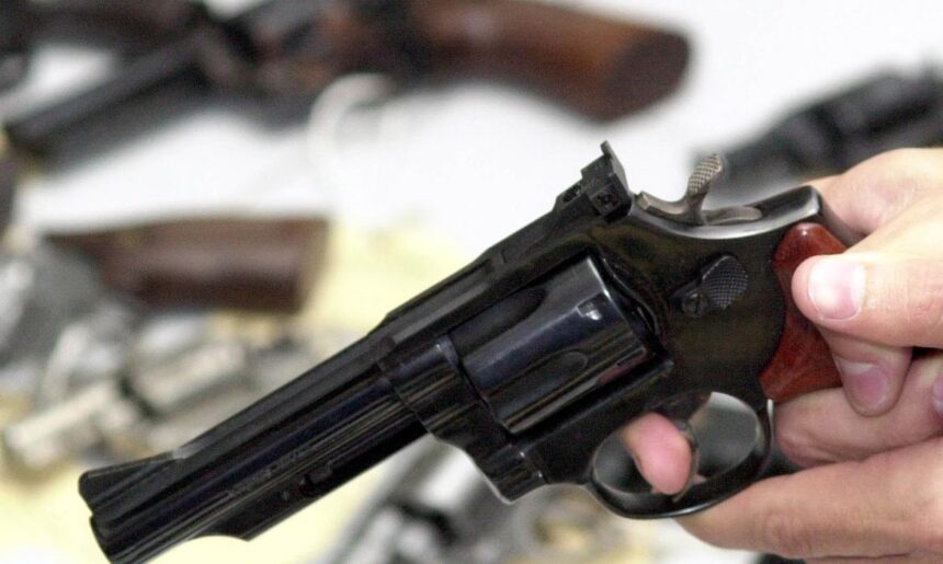 Câmara analisa mudanças para comprar e portar armas de fogo