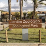 Zoológico de Brasília é fechado por suspeita de gripe aviária