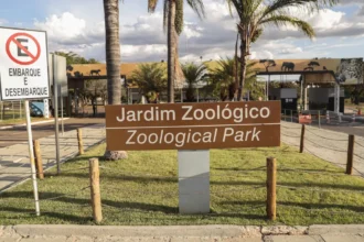 Zoológico de Brasília é fechado por suspeita de gripe aviária