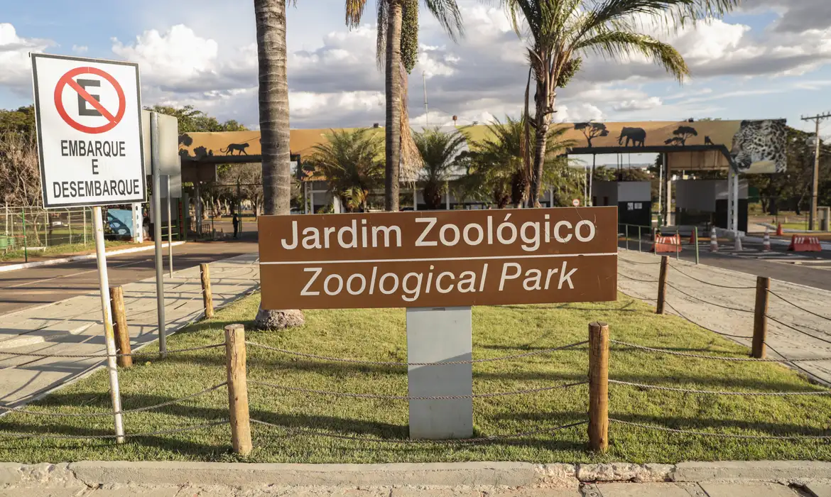 Zoológico de Brasília é fechado por suspeita de gripe aviária