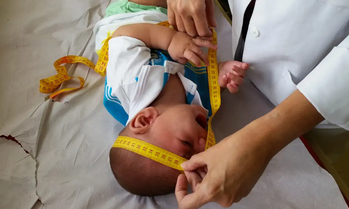 Com derrubada de veto, Congresso retoma indenização às vítimas do vírus Zika