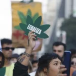 Começa o mutirão 'absurdo' que revisa prisões por pequenas quantidades de maconha