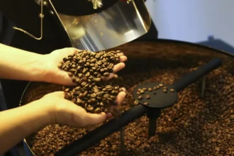 Café, cacau e manga podem passar 'ilesos' ao tarifaço de 50% dos EUA