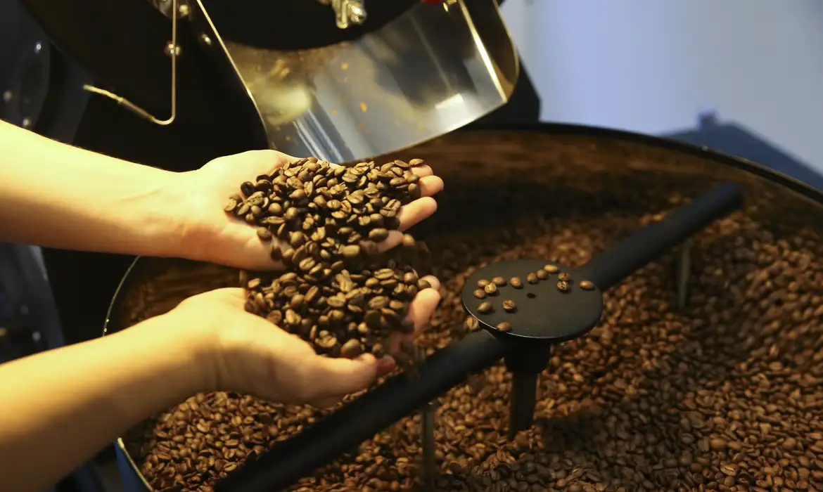 Café, cacau e manga podem passar 'ilesos' ao tarifaço de 50% dos EUA