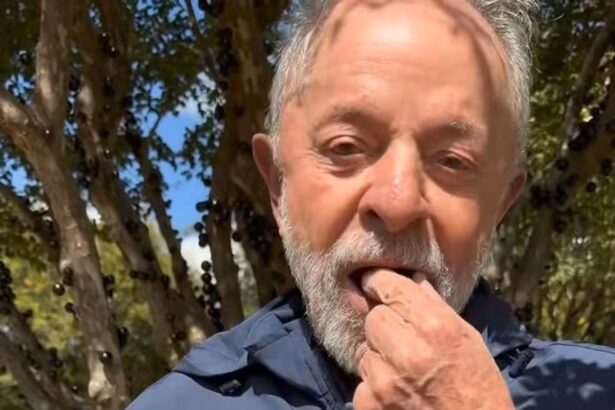 Lula 'oferece' jabuticaba a Trump em meio ao embate tarifário