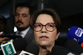 Senadores viajam aos EUA em busca de acordo sobre o tarifaço