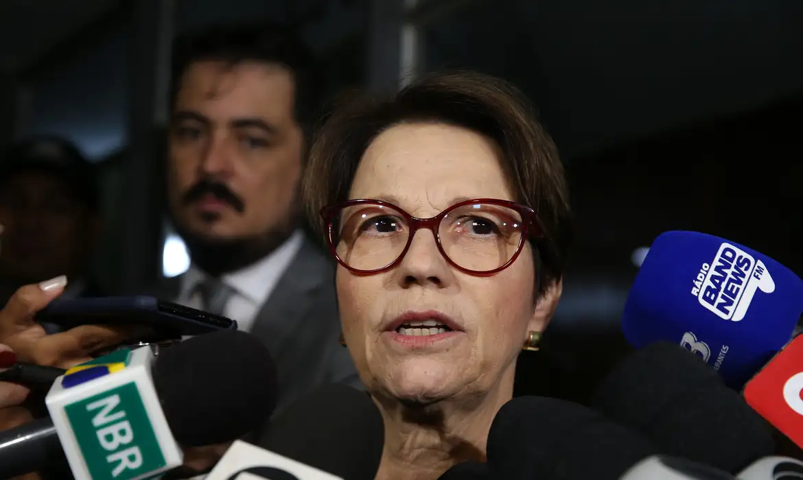 Senadores viajam aos EUA em busca de acordo sobre o tarifaço