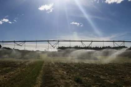 Redução de jornada custará 8,6% a mais para o Agro e consumidor pagará a conta