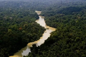 Lula sanciona novo licenciamento ambiental com vetos e sinaliza MP ao Congresso