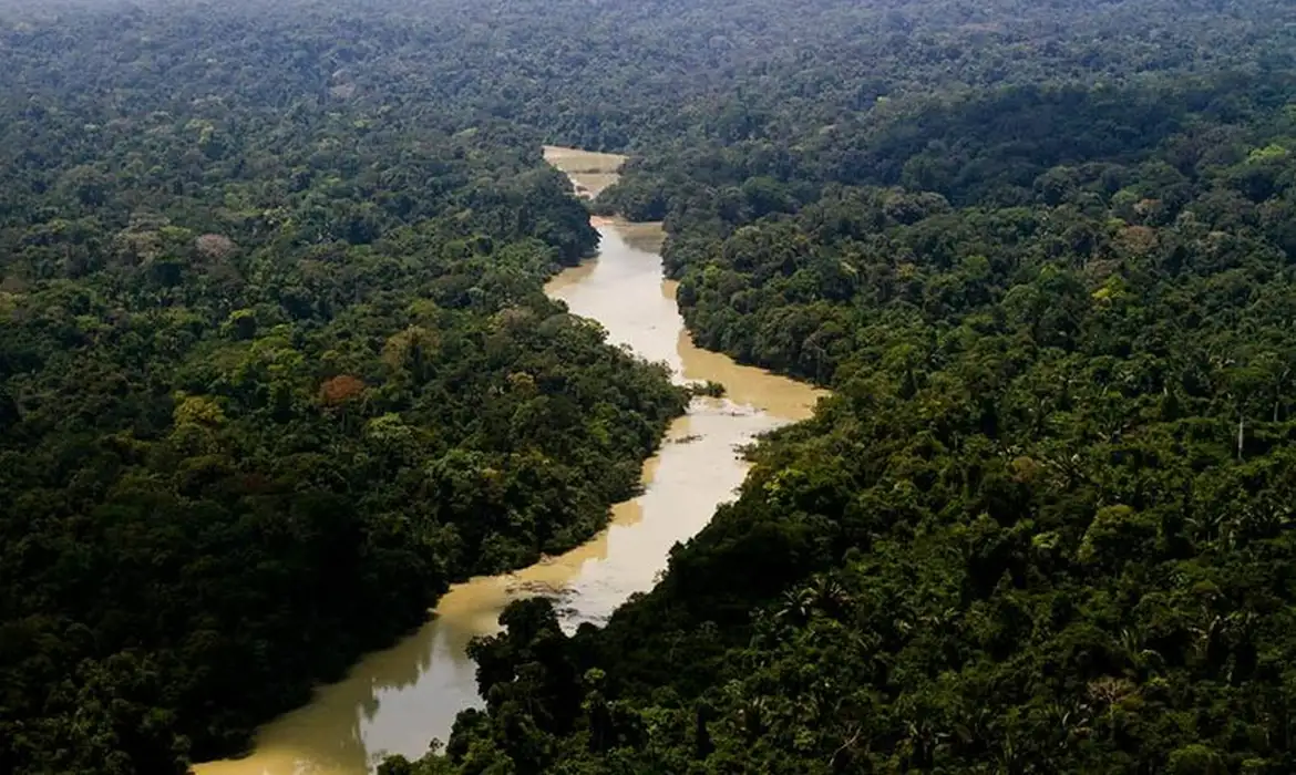 Lula sanciona novo licenciamento ambiental com vetos e sinaliza MP ao Congresso
