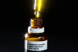 Embrapa vai pesquisar cannabis após liberação de R$ 13 milhões da Finep