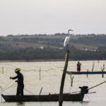 Deputados aprovam medida provisória com novas regras ao seguro-defeso
