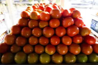 Maior produtor de tomates in natura do Brasil apresenta pedido de recuperação judicial 