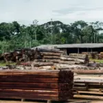 São Paulo e Santa Catarina pagam metade da conta do tarifaço dos EUA
