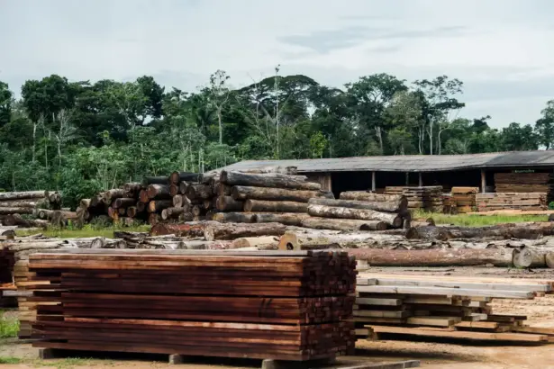 São Paulo e Santa Catarina pagam metade da conta do tarifaço dos EUA