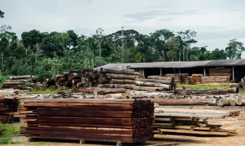 São Paulo e Santa Catarina pagam metade da conta do tarifaço dos EUA